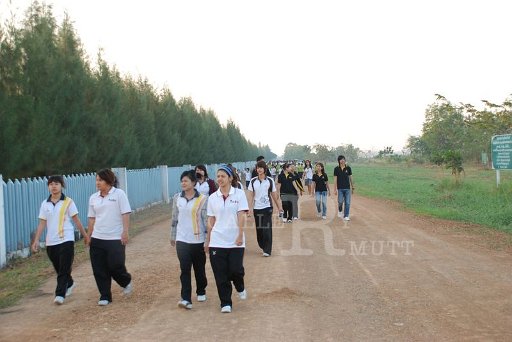 DSC_0482 Copy.JPG